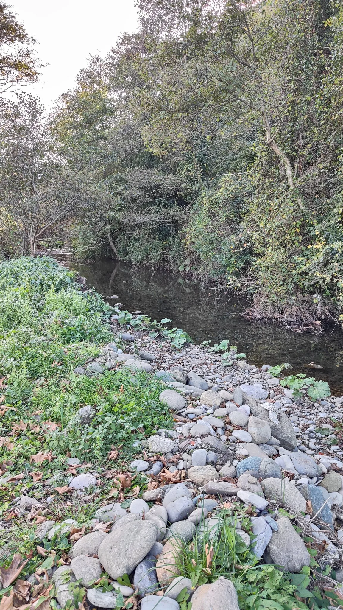 rivière