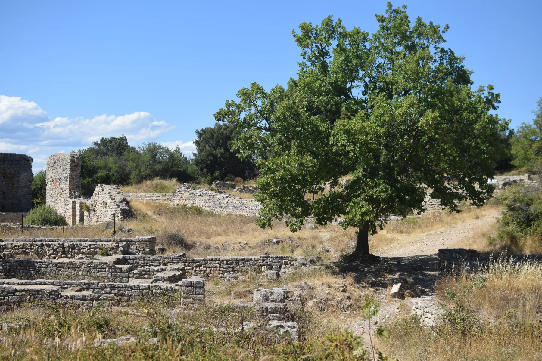 Ruines antiques du Camp César à Laudun l’Ardoise