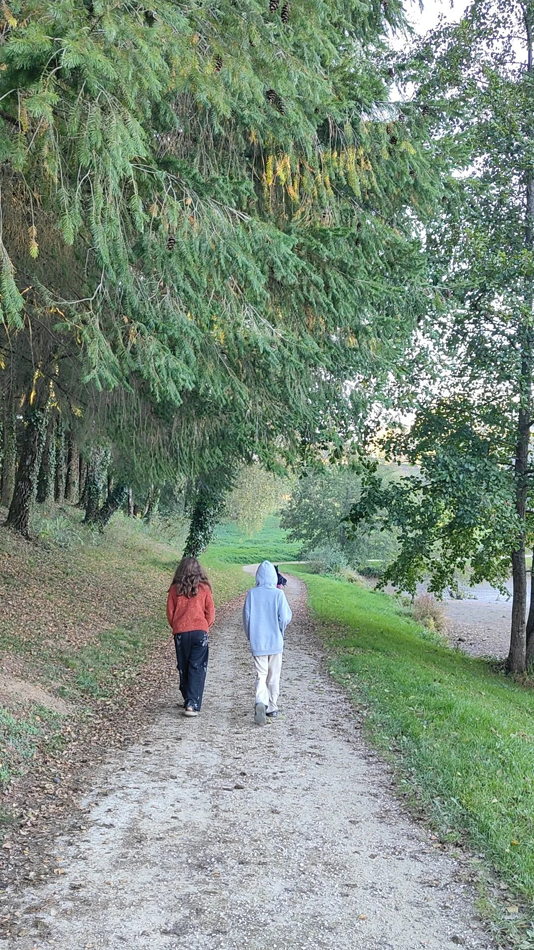 Enfants qui se promènent