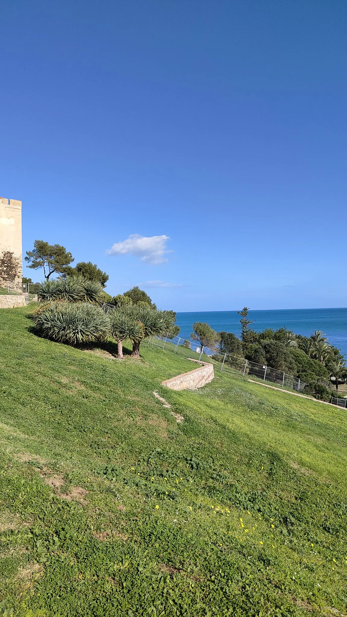 Castillon Sohail Fuengirola