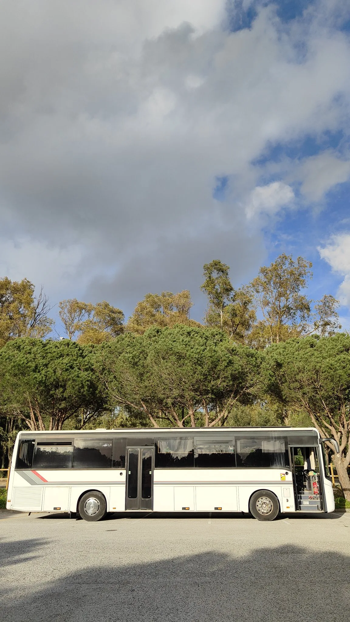 Bus
