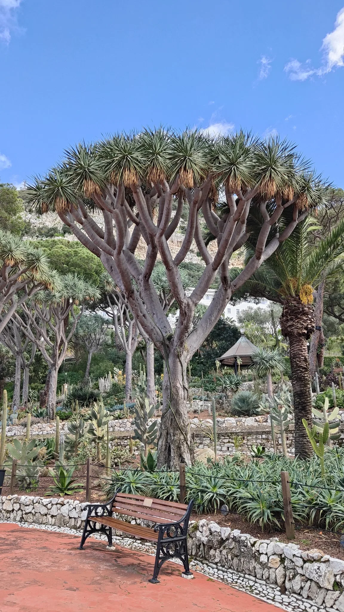 Jardins botaniques